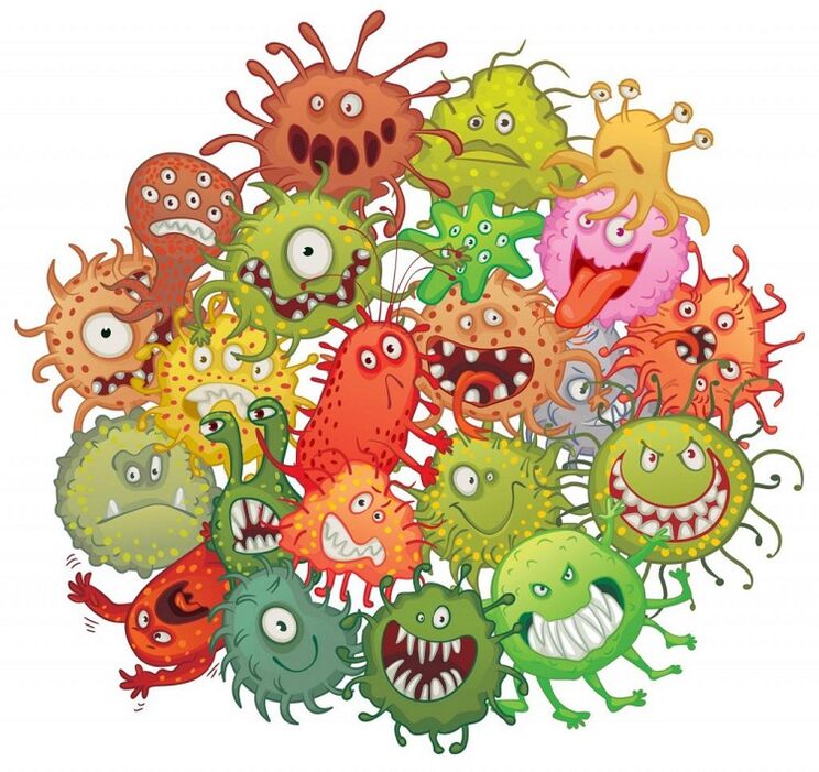 menschliche Mikroben und Würmer wie man sie entfernt
