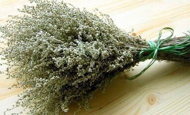 Wormwood als Mittel zur Bekämpfung von Parasiten