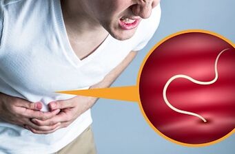 Arten von Parasiten im menschlichen Körper